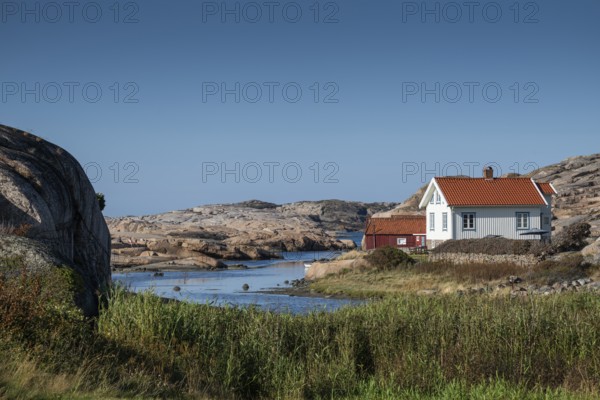 White houses and falun red boathouse on grassy shore, Bohus granite, rocky coast, Ramsvik, Naturreservat Ramsviklandet, Bohuslän, Skagerrak, Sotenäs, Västra Götalands län, Sweden