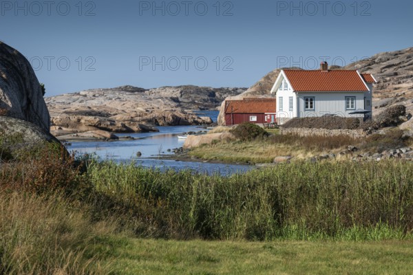 White houses and falun red boathouse on grassy shore, Bohus granite, rocky coast, Ramsvik, Naturreservat Ramsviklandet, Bohuslän, Skagerrak, Sotenäs, Västra Götalands län, Sweden