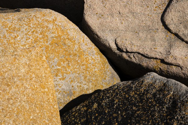 Bohus granite with yellow lichen, rocky coast, Ramsvik, Naturreservat Ramsviklandet, Bohuslän, Skagerrak, Sotenäs, Västra Götalands län, Sweden