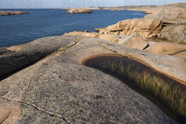 Rocky coast, Bohus granite, Ramsvik, Naturreservat Ramsviklandet, Bohuslän, Skagerrak, Sotenäs, Västra Götalands län, Sweden
