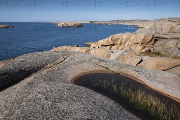 Rocky coast, Bohus granite, Ramsvik, Naturreservat Ramsviklandet, Bohuslän, Skagerrak, Sotenäs, Västra Götalands län, Sweden