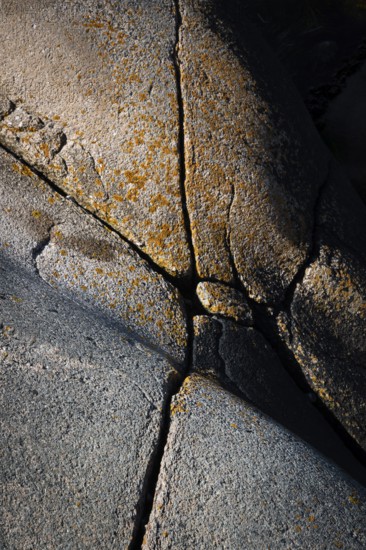 Bohus granite with cracks and lichens, Ramsvik, Naturreservat Ramsviklandet, Bohuslän, Skagerrak, Sotenäs, Västra Götalands län, Sweden