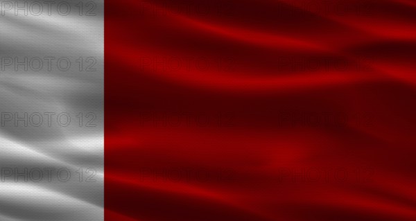 Dubai flag with fabric texture. Realistic flag of Dubai waving