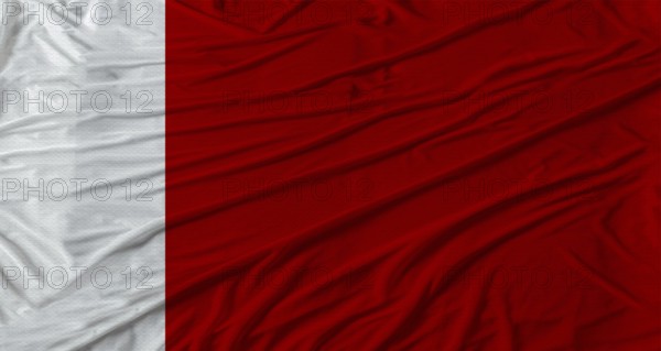 Dubai Emirati flag waving. Flag of Dubai Emirati with cloth texture