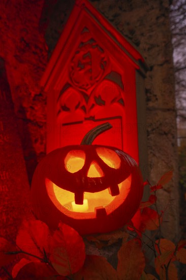 Halloween pumpkin with candlelight in the cemetery, illuminated red and spooky