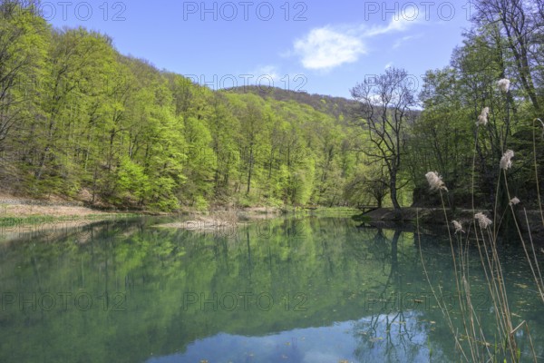 Lake in Papuk National Park, Jankovac, Slatinski Drenovac, Virovitica-Podravin County, Croatia