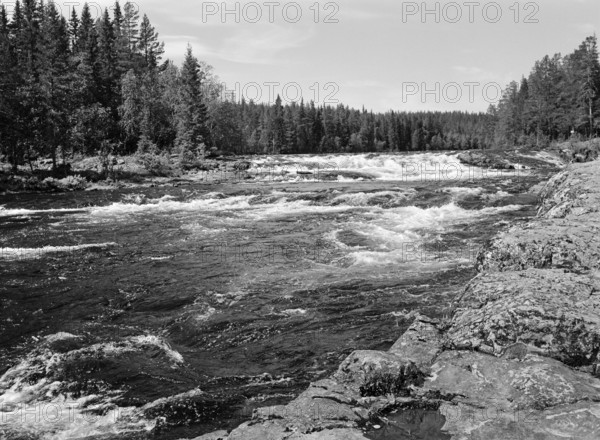 Wild untamed river, black and white, analogue, Härjedalen, Sweden