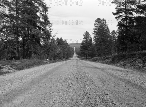 Straight gravel road, black and white, analogue, Härjedalen, Sweden