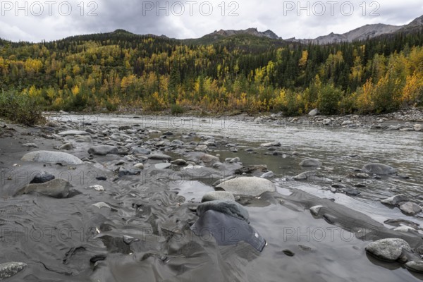 Autumn landscape on the Nenana River, Healy, Alaska, USA
