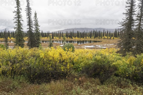 Autumn landscape, Alaska, USA