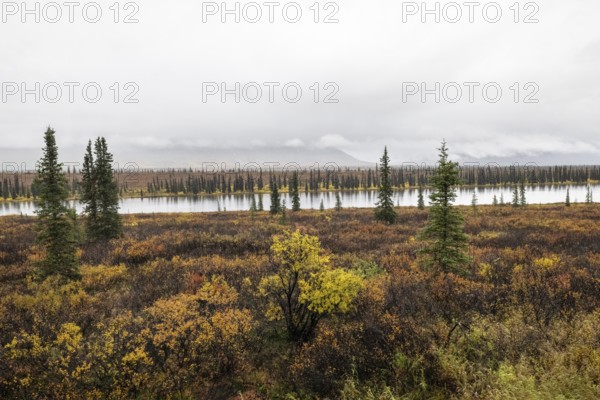 Autumn landscape, Alaska, USA