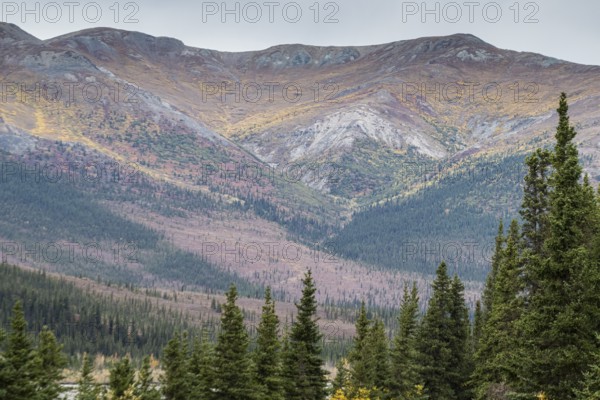 Autumn landscape, Alaska, USA