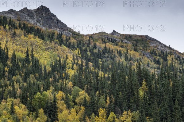Autumn landscape, Alaska, USA