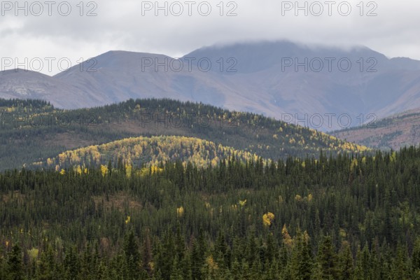Autumn landscape, Alaska, USA