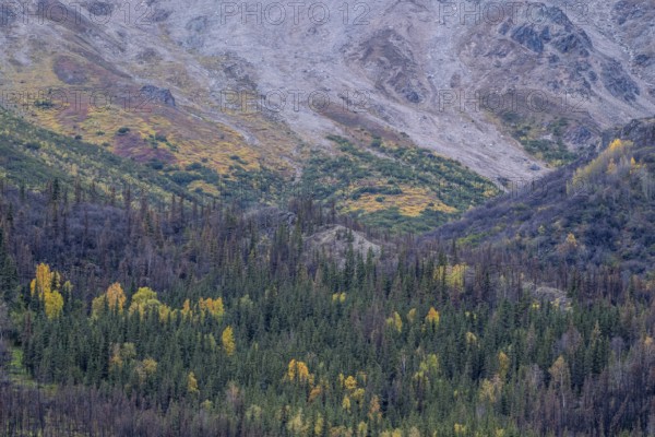 Autumn landscape, Alaska, USA