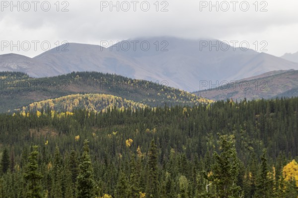 Autumn landscape, Alaska, USA