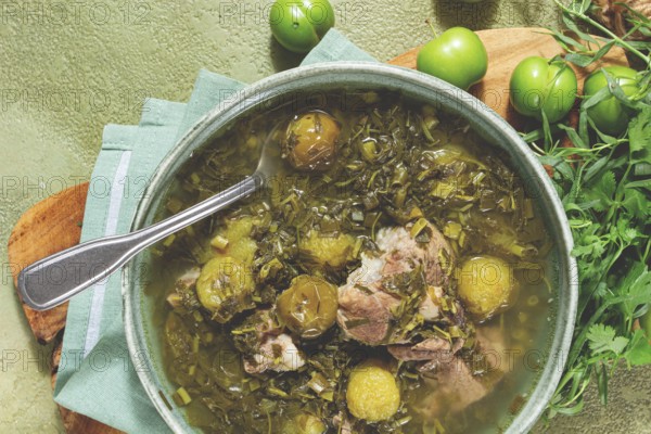 Chakapuli, Georgian dish, stewed meat with herbs and tkemali, in white wine, homemade, no people