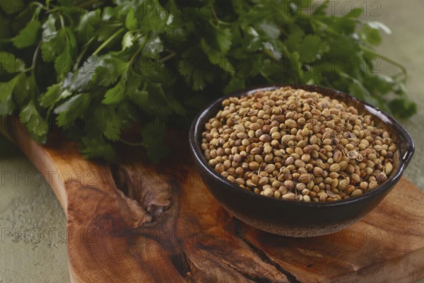 A bunch of fresh cilantro, coriander seeds and bowls, close-up, top view, no people, food and drinks