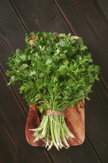 A bunch of fresh cilantro sits on a wooden cutting board. The vibrant green leaves and stems are neatly tied, perfect for adding flavor to meals in a cozy kitchen setting