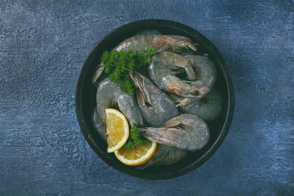Fresh raw white-footed shrimp, tiger prawns vannamey, on a clay plate, with lemon and herbs, on a blue background