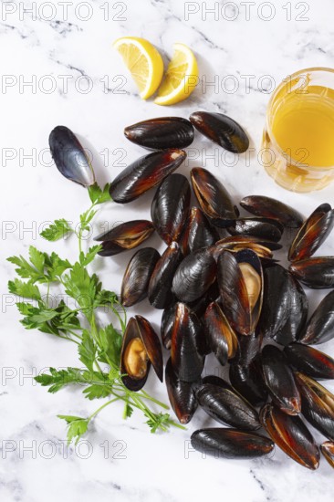 Fresh mussels scattered on the table, with ingredients, lemon and herbs, white wine, top view, light background, no people
