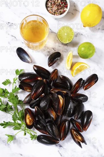 Fresh mussels scattered on the table, with ingredients, lemon and herbs, white wine, top view, light background, no people