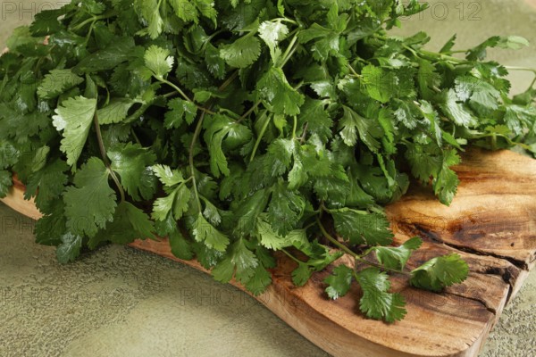 Bright green cilantro leaves are piled on a rustic wooden cutting board, showcasing their vibrant color and fresh texture. Perfect for adding flavor to various dishes