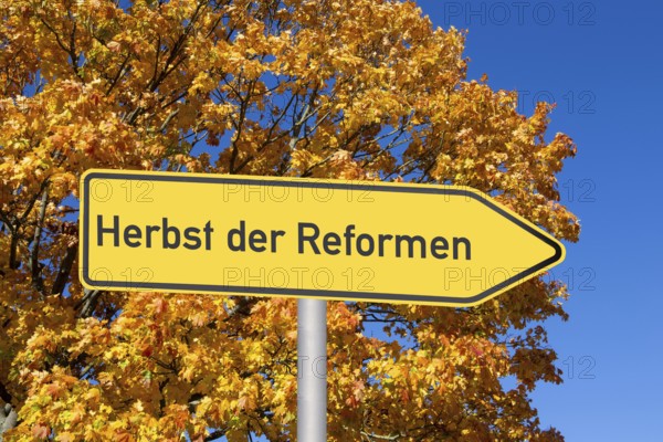 (Photomontage) Directional arrow with the inscription HERBST DER REFORMEN in front of an autumn-coloured deciduous tree