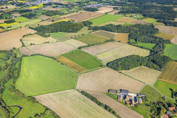 Aerial view, meadows and fields, Vöckinghausen, view to Hamm, district Rhynern, Hamm, Ruhr area, North Rhine-Westphalia, Germany, DE, Europe, agricultural fields, aerial view, aerial photography, aerial photography, overview, bird's eye view, birds-eyes view, overview