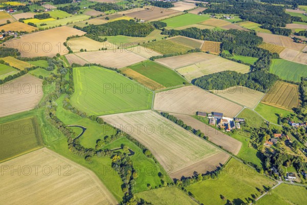 Aerial view, meadows and fields, Vöckinghausen, view to Hamm, district Rhynern, Hamm, Ruhr area, North Rhine-Westphalia, Germany, DE, Europe, agricultural fields, aerial view, aerial photography, aerial photography, overview, bird's eye view, birds-eyes view, overview