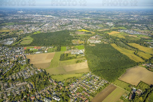Aerial view, complete view of the sports fields of HSC in Westtünnen, HSC small pitch Fuchshöhle, Pilsholz Wald, Blumen Bintig GmbH and Hüls Wald, district Rhynern, Hamm, Ruhr area, North Rhine-Westphalia, Germany, DE, Europe, football, football field, football pitch, football stadium, Hammer SC (HSC), aerial view, aerial photography, aerial photography, sports, sports facility, sports facilities, sports field, sports venue, stadium, tennis, tennis facility, tennis court, tennis courts, tennis club, overview, bird's-eye view, forest, birds-eyes view, overview