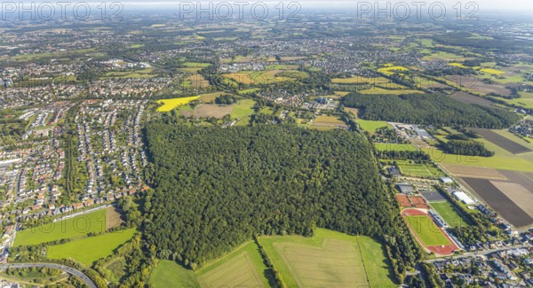 Aerial view, complete view of the sports fields of HSC in Westtünnen, HSC small pitch Fuchshöhle, Pilsholz Wald, Blumen Bintig GmbH and Hüls Wald, district Rhynern, Hamm, Ruhr area, North Rhine-Westphalia, Germany, DE, Europe, football, football field, football pitch, football stadium, Hammer SC (HSC), aerial view, aerial photography, aerial photography, sports, sports facility, sports facilities, sports field, sports venue, stadium, tennis, tennis facility, tennis court, tennis courts, tennis club, overview, bird's-eye view, forest, birds-eyes view, overview