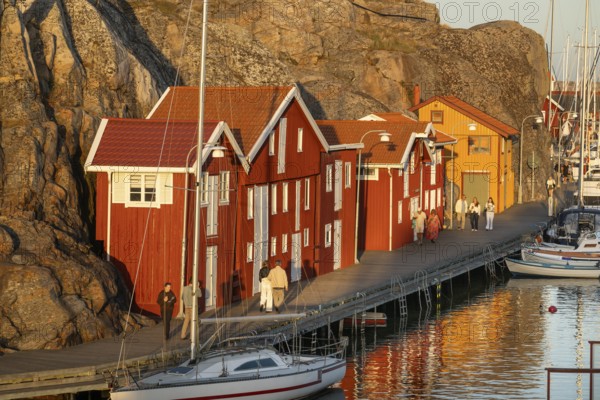 Colourful boathouses and boats in the harbour of Smögen, evening mood, Smögenbryggan, Västra Götalands Län, Bohuslän, Sweden