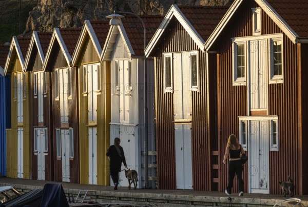 Strollers in front of colourful boathouses in the harbour of Smögen, Smögenbryggan, Västra Götalands Län, Bohuslän, Sweden