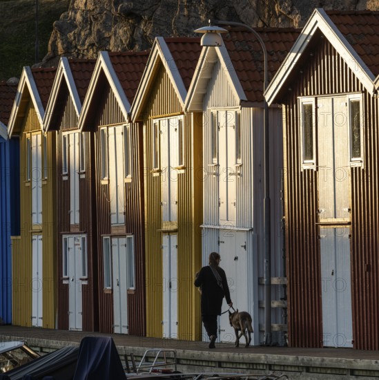 Woman with dog in front of colourful boathouses in the harbour of Smögen, Smögenbryggan, Västra Götalands Län, Bohuslän, Sweden