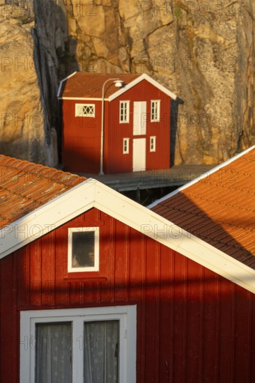 Falun red boathouses between rocks in the harbour of Smögen, Smögenbryggan, Västra Götalands Län, Bohuslän, Sweden
