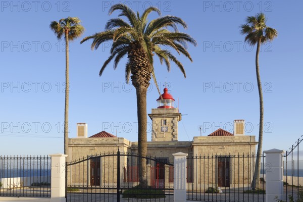 Lighthouse and palm trees, Ponta da Piedade, Lagos, Algarve, Portugal