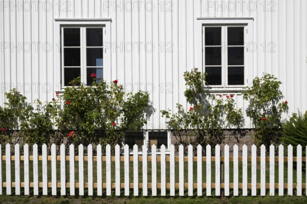 White house with rose bushes behind a white fence, Fjällbacka, Bohuslän, West Sweden, Sweden
