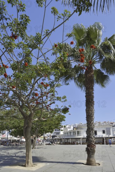 Largo Engenheiro Duarte Pacheco Square, Albufeira, Algarve, Portugal