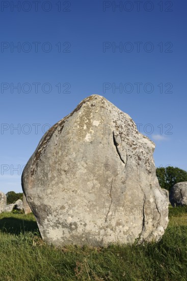 Megalithe, Alignements du Menec, Carnac, Department of Morbihan, Brittany, France