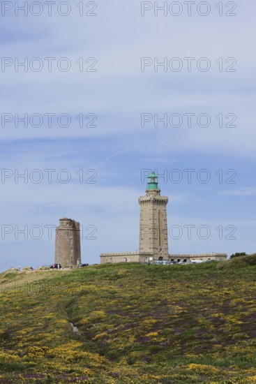 Lighthouse and landscape with flowering gorse (Ulex gallii) and heather, Cap Frehel, Cote d'Emeraude, Cotes-d'Armor, Brittany, France