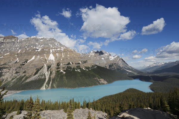 Glacier lake Peyto Lake, Icefields Parkway, Banff National Park, Alberta, Canada