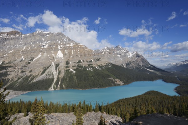 Glacier lake Peyto Lake, Icefields Parkway, Banff National Park, Alberta, Canada
