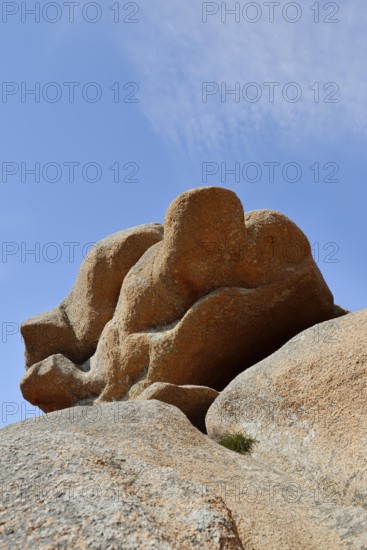 Granite rocks on the Cote de Granit Rose coast near Ploumanac'h, Cotes-d'Armor, Brittany, France