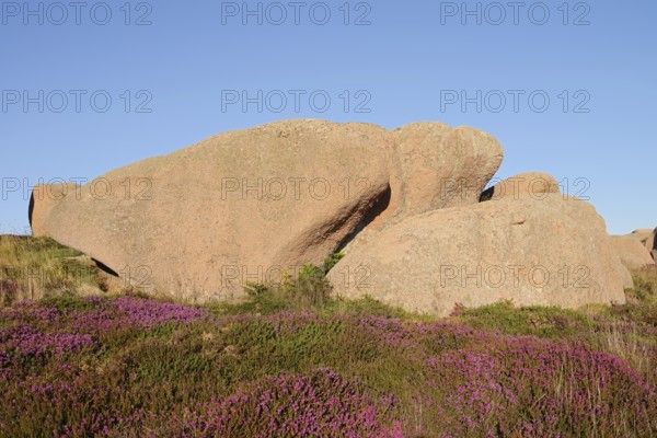 Granite rocks on the Cote de Granit Rose coast near Ploumanac'h, Cotes-d'Armor, Brittany, France