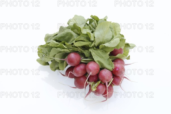 Radish (Raphanus sativus var. sativus) with leaves against a white background