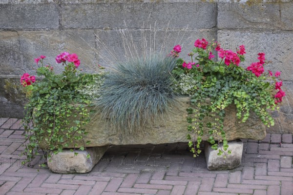 Sowing trough, stone trough with flower planting and grasses, Münsterland, North Rhine-Westphalia, Germany