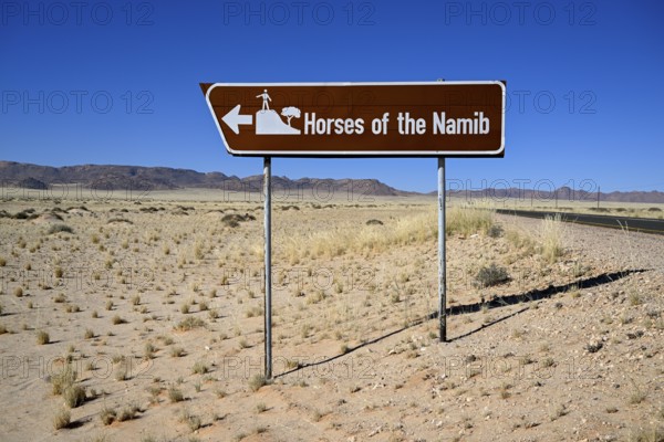 Sign desert horses, near Garub, Karas region, Namibia