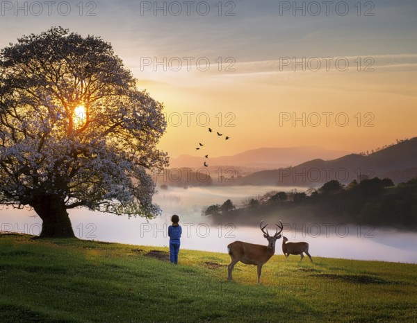 A tranquil rural landscape featuring a blooming tree, two deer grazing, misty hills, and a vibrant sunrise. Captures nature's beauty, calm ambiance, and the harmony of wildlife in spring scenery, AI generated