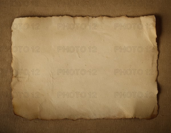 Old paper texture. Vintage paper texture. High resolution grunge background, AI generated